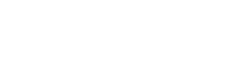 Intelivix